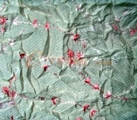 供应骑兵斜涤纱 