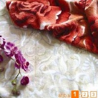 供应珊瑚绒毯子 