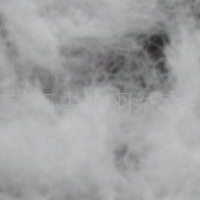 供应７０％水洗灰白鸭绒 羽绒