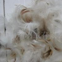 供应2-4CM 灰鸭毛片 水洗毛片 河南羽绒