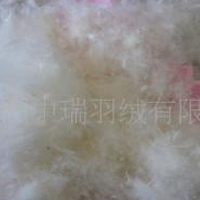 供应80%中朵绒 水洗羽绒 羽绒服填充物