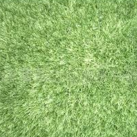 供应涤纶丝地毯(图)