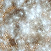 供应羽绒、毛片