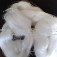 供应棉包涤包芯纱(图)