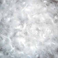 供应水洗鸭绒80%