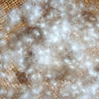 供应各种规格水洗灰鸭绒