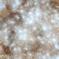 供应各种规格的水洗鸭绒