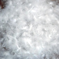 供应水洗羽绒羽毛