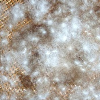 供应水洗羽绒、毛片