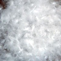 供应各种规格的水洗羽绒