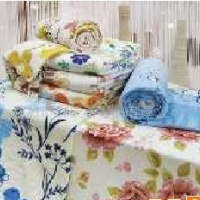 供应 珊瑚绒毛毯-  