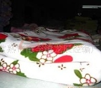 供应珊瑚绒毛毯、毛毯、印花毛毯、儿童 