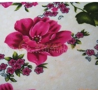 供应礼品毯，印花毯，珊瑚绒毛毯  