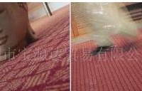 工程块毯 工程满铺毯 办公方块毯 家居地毯