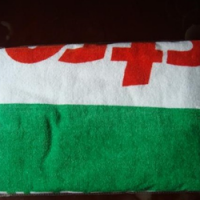 印花毛巾运动巾