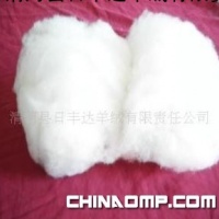 新疆 白中白 优质山羊绒