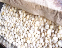 供应脱脂桑蚕丝绵 