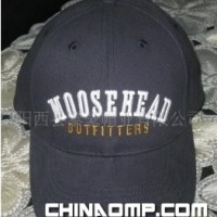 棒球帽 大型外贸厂家 质量保证 泰豪帽业