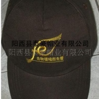 帽子 广告帽太阳帽 泰豪帽业W057系列