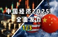 全方位扩大国内需求——2025年，中国经济这么干