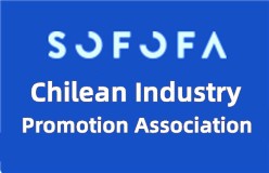 Chilean Industry Promotion Association