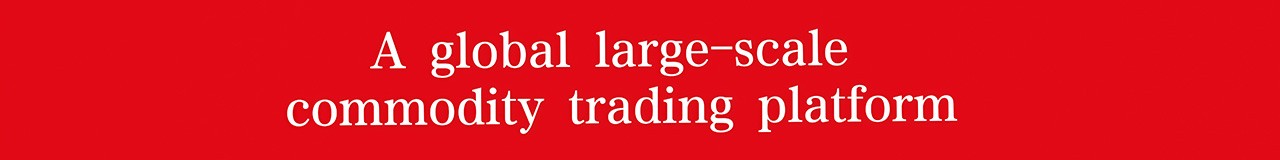 China Online Market